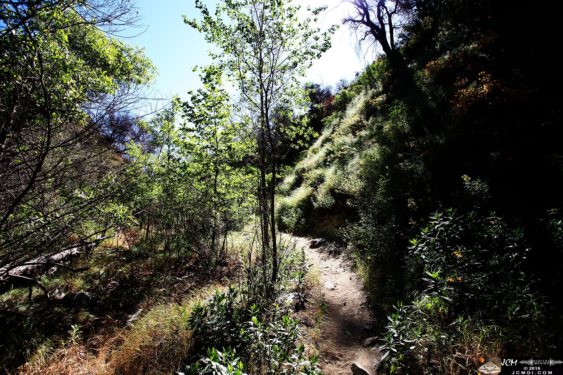 Whitney Canyon Hike sunny canyon bottom